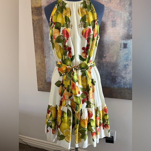 🍒🍋🍇🍓HP Gorgeous Sundress - Picture 2 of 6